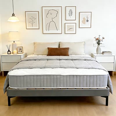 Dreamate New Smart AI Mattress Launch: Zone Adjustment + Fabric Upgrade, Creating Win-Win Value